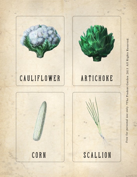 free-printable-vintage-vegetable-nomenclature-cards