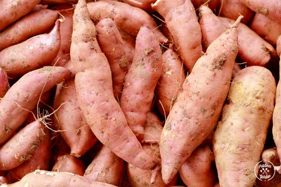 Growing Sweet Potatoes