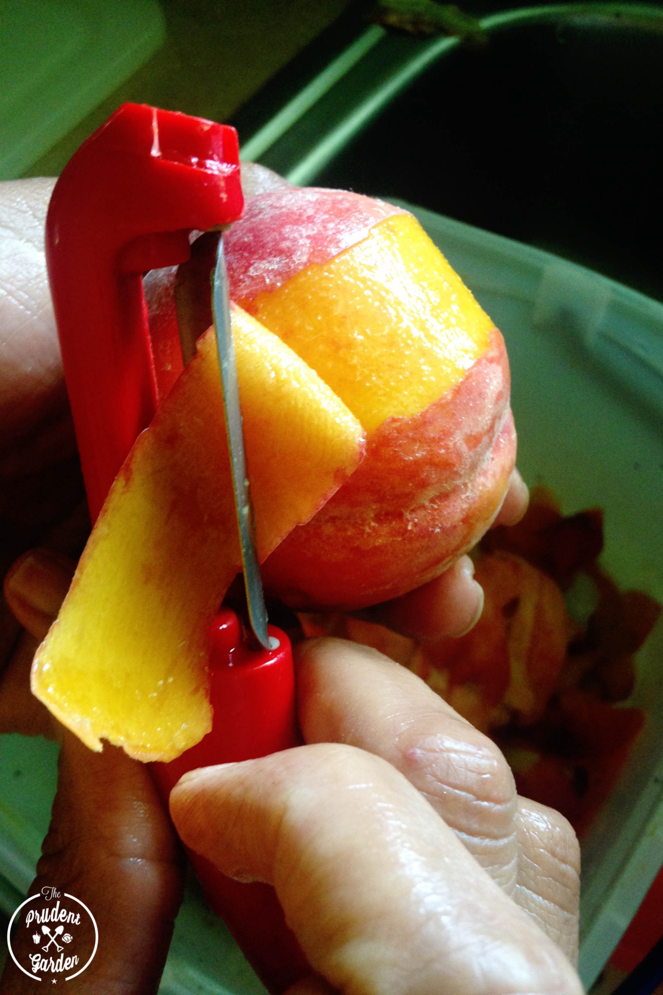 basil-ginger-peach-preserves-free-printable-labels