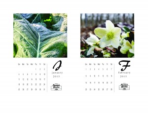 Jan-Feb