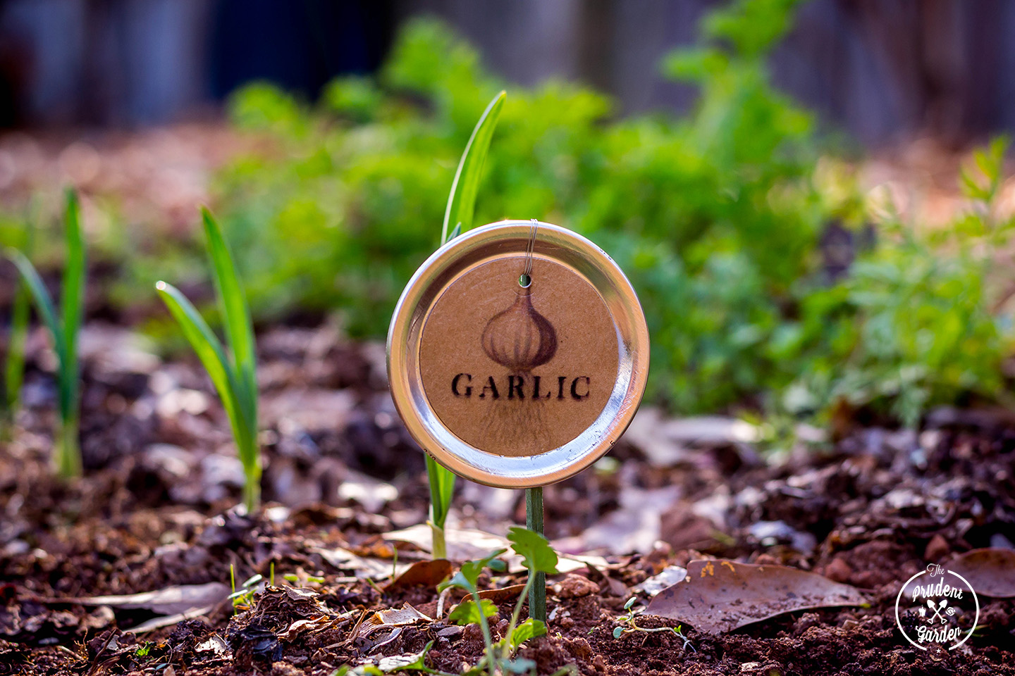 Mason Jar Lid Garden Markers | A Guide to Upcycled Homesteading