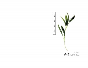 Free Printable Herb Cards