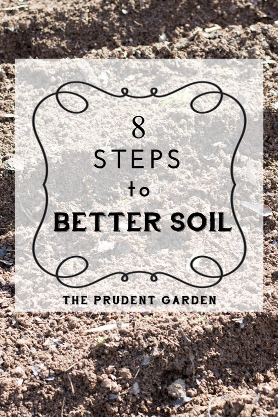 8 Steps To Better Soil