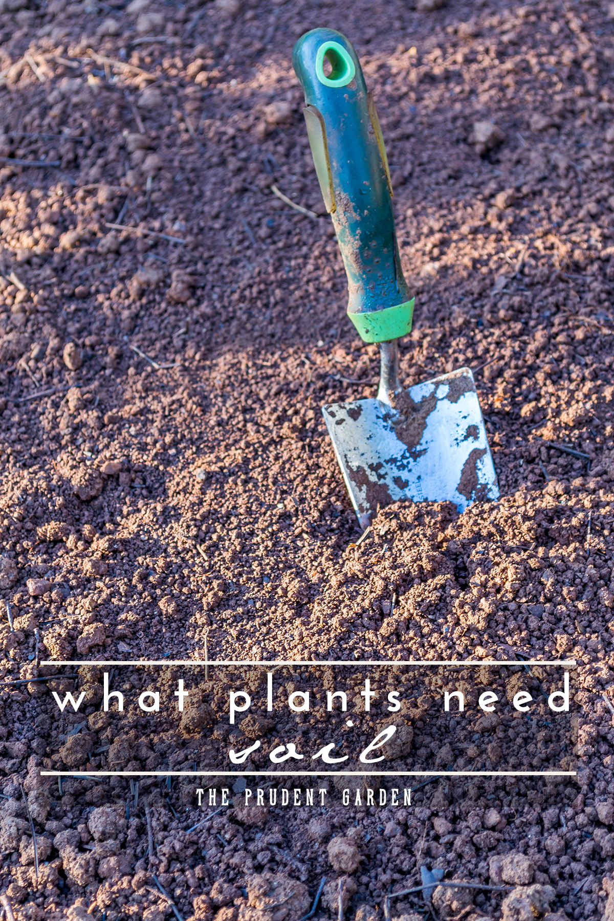 What Plants Need: Soil