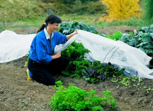 Cold weather doesn't signal the end of the gardening . Here's a round up of garden articles published on HGTV Gardens to help you prepare for the winter.
